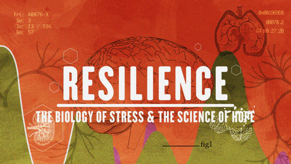 Resilience-still-06-e1493747955649.png