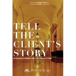 Tell the Client's Story Book