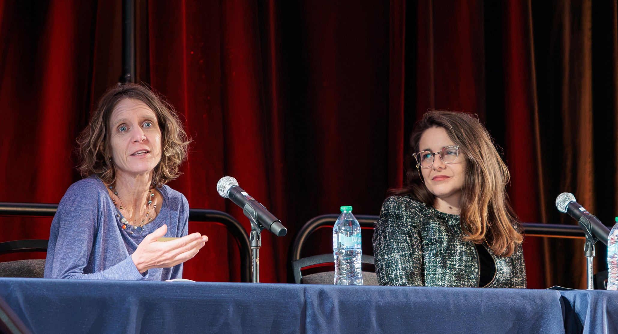 A photo of Melissa Radey and Chelsea Brass during a symposium panel.