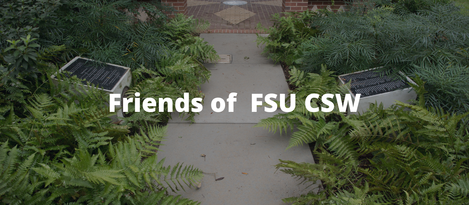 "Web banner with the words of 'Friends of FSU CSW' with a picture of ferns and a walkway"