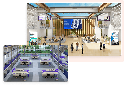 "Example of vFair virtual symposium space"
