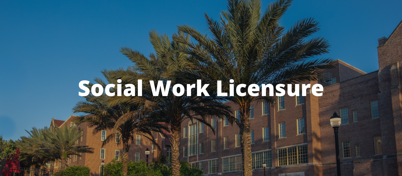"Photo of FSU campus brick building with a row of palm trees with the words Social Work Licensure in the middle""