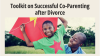 Toolkit on Successful Co-Parenting After Divorce training with a picture of an African-American boy playing with an adult African-American man with a kite.