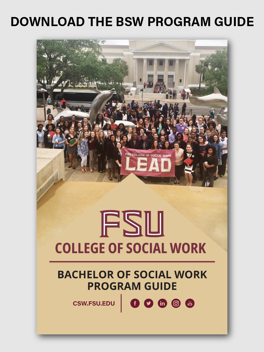 CSW BSW Brochure Web Graphic