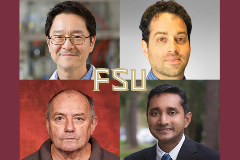 Clockwise from top left, Hoyong Chung, Yaacov Petscher, Prashant Singh and Branko Stefanovic. These four FSU faculty members are part of the National Academy of Inventors 2025 class of Senior Members.