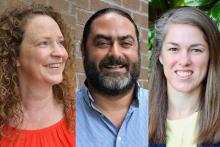 Carrie Pettus-Davis, Stephen Tripodi, Tanya Renn